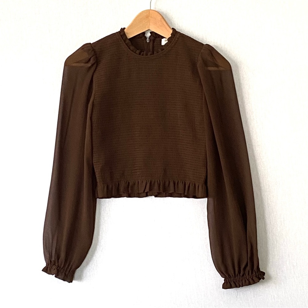 Aritzia Tempest Brown Sheer Long Sleeve Ruffle Crop Blouse